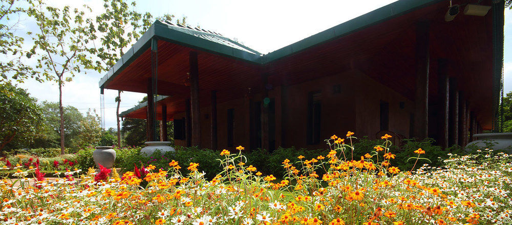 Grand & Gangula Hotell Dambulla Exteriör bild
