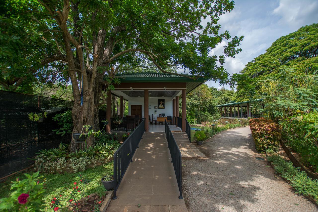 Grand & Gangula Hotell Dambulla Exteriör bild