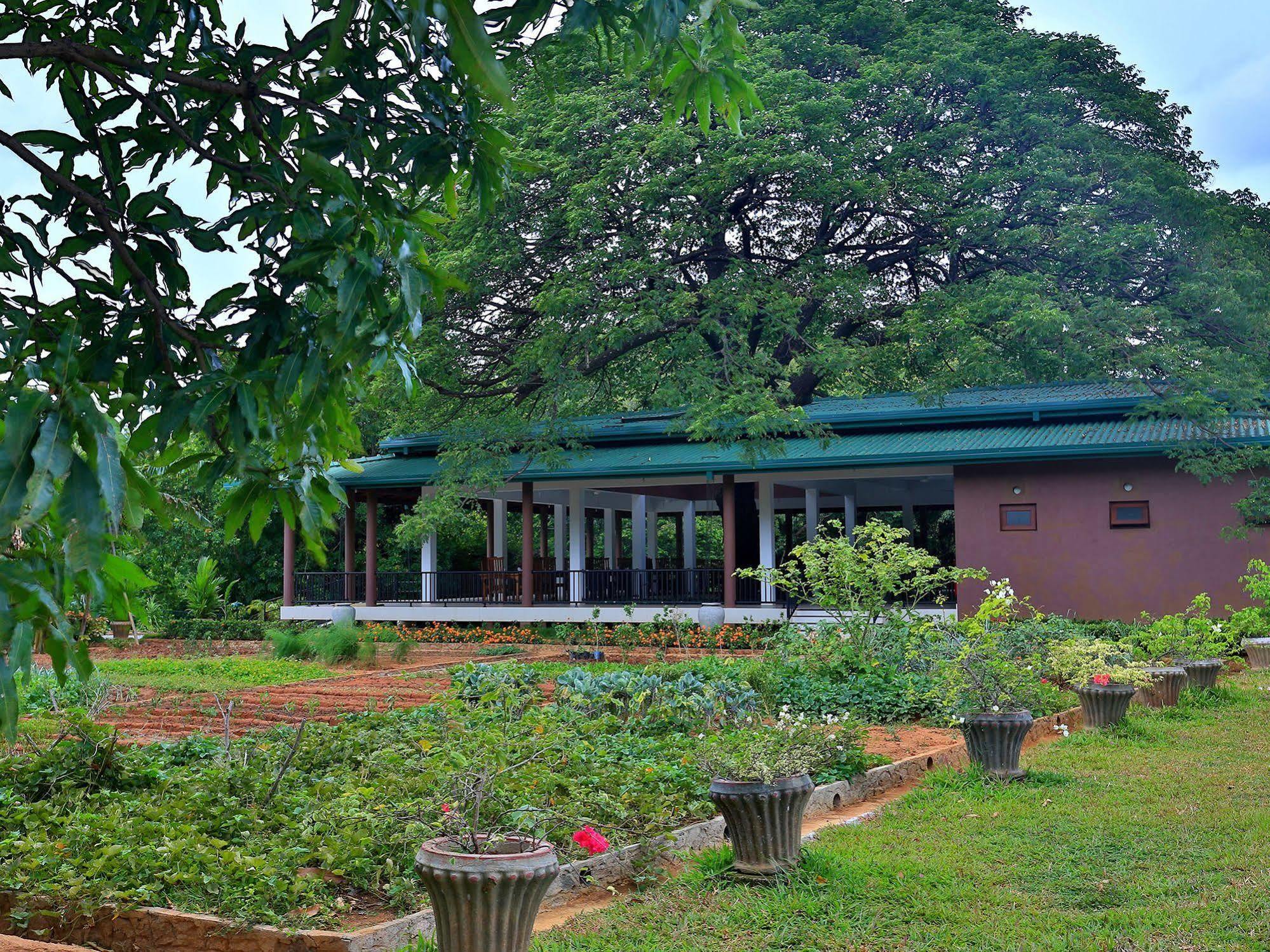Grand & Gangula Hotell Dambulla Exteriör bild