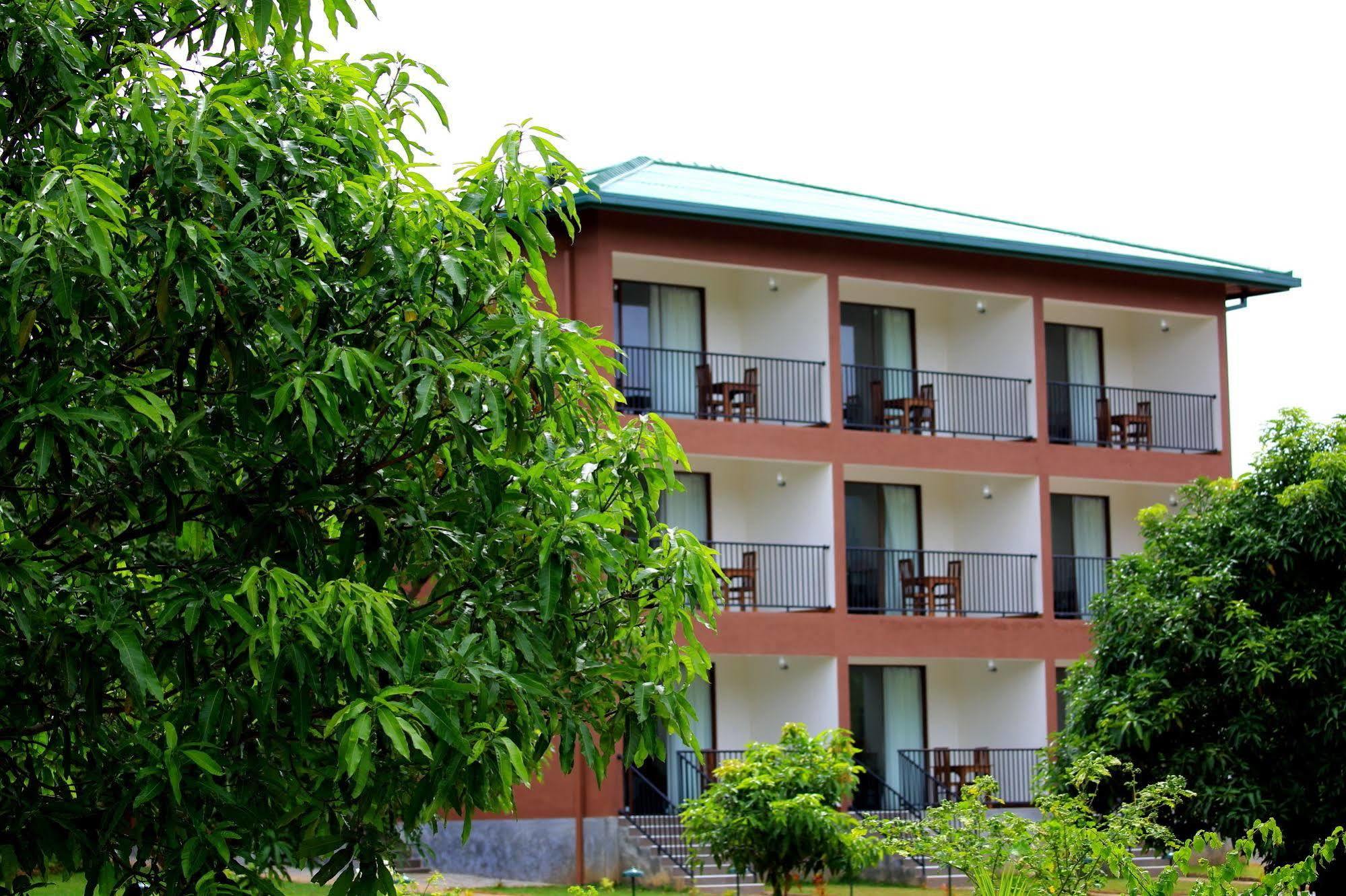 Grand & Gangula Hotell Dambulla Exteriör bild