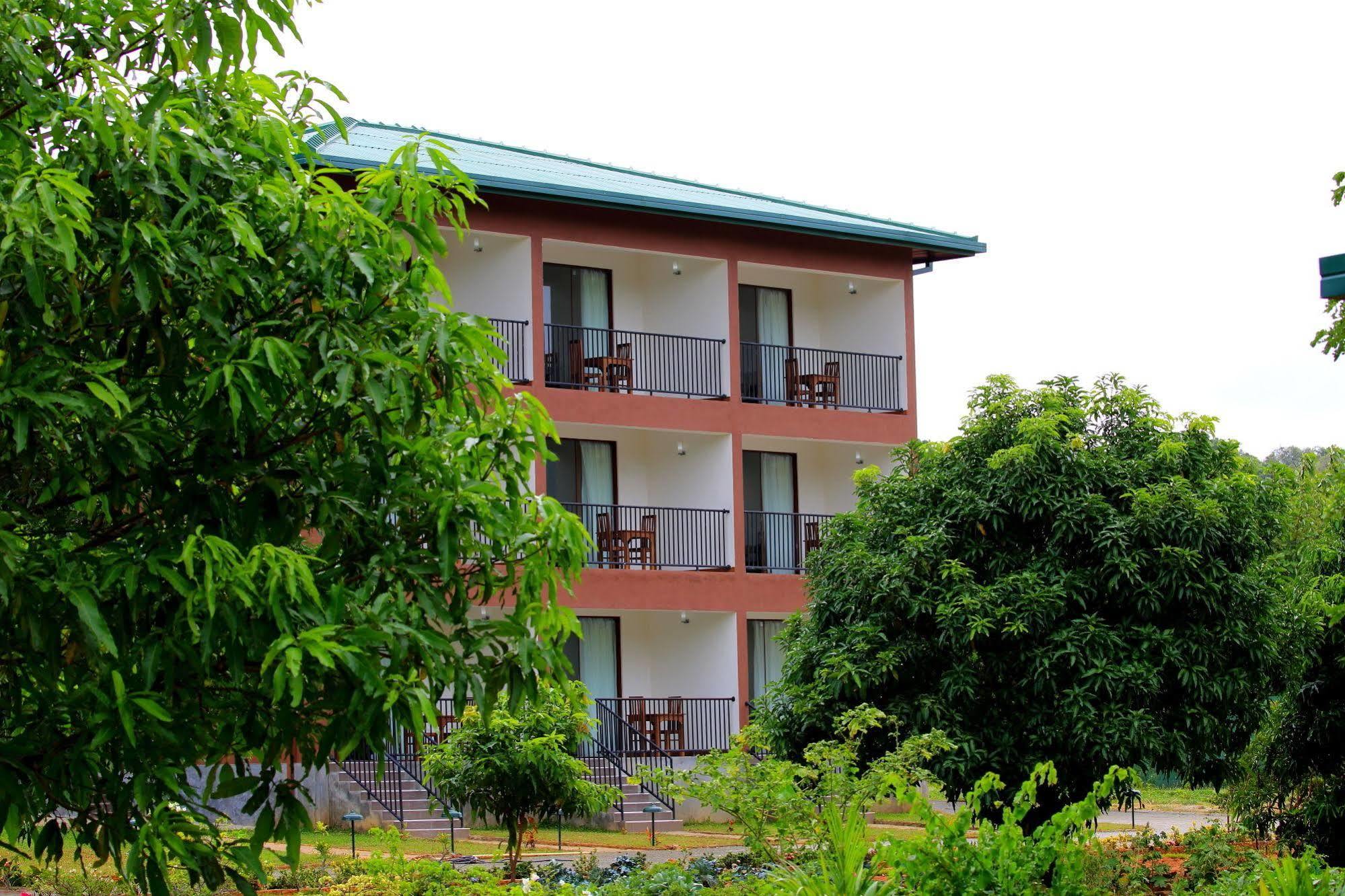 Grand & Gangula Hotell Dambulla Exteriör bild