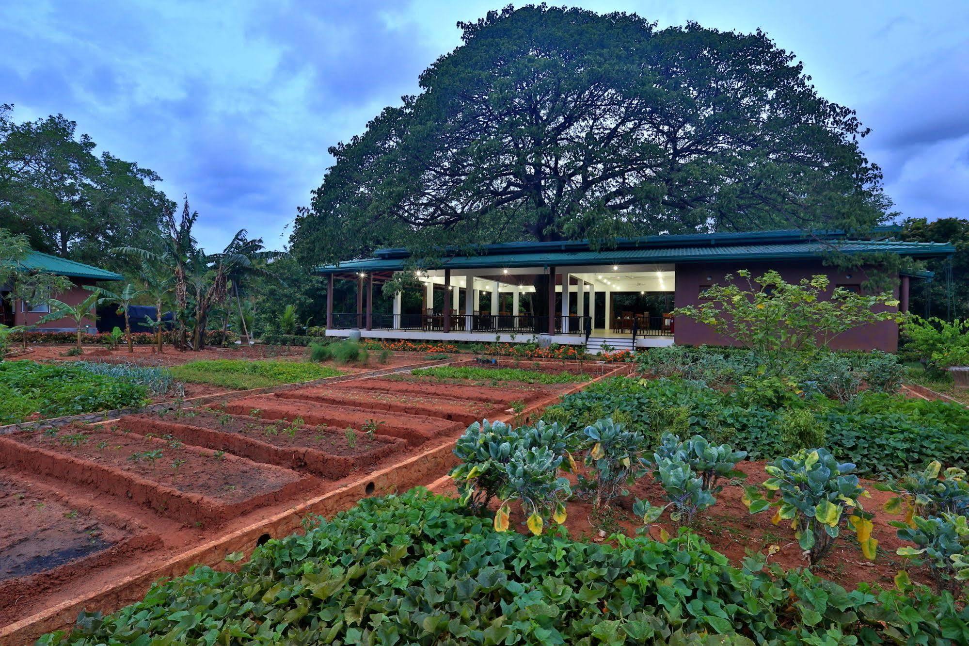 Grand & Gangula Hotell Dambulla Exteriör bild